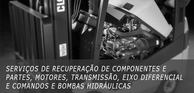 Serviços de recuperação de componentes e partes, motores, transmissão, eixo diferencial e comandos e bombas hidráulicas